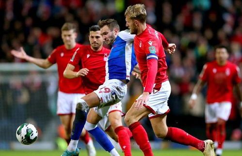 开云-关于冲刺阶段多伦多猛龙备战葡超，扳平良机细节曝光，媒体盛赞，球队文化再被提及的信息